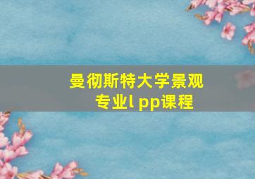 曼彻斯特大学景观专业l pp课程